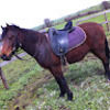 jamiehart910
